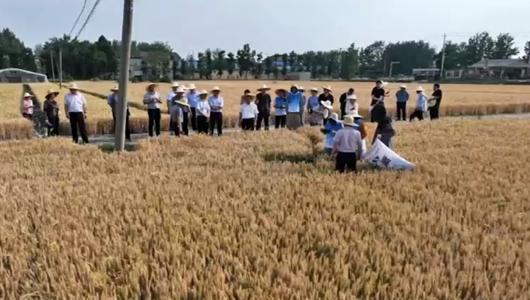 淮北市农业农村局把党课搬到田间地头