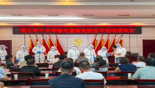 淮北市农业农村局举办全市牛羊布鲁氏菌病免疫技术现场培训会