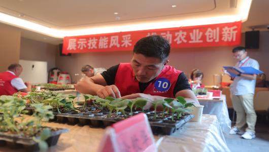 栽优质菜培新农人——淮北市2025年高素质农民职业技能大赛蔬菜栽培工赛项圆满结束