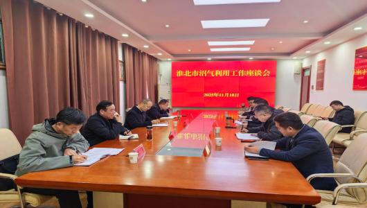 淮北市委副书记孙艳辉专题调研农村沼气利用工作