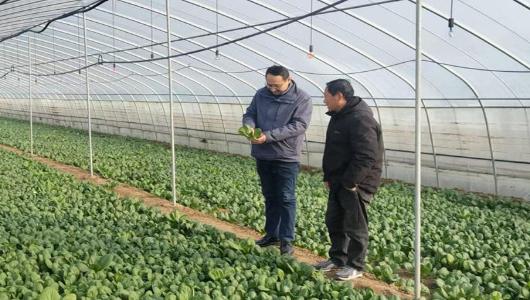 戚长林调研协会党建工作