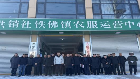 全市首家！濉溪县供销社铁佛镇农服运营中心正式启动——四镇联动打造农业社会化服务新平台