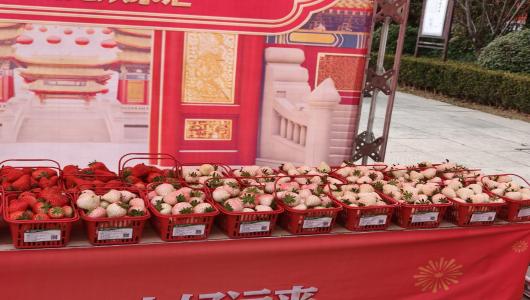 年货节里说安全：寻地道年味，带安心回家