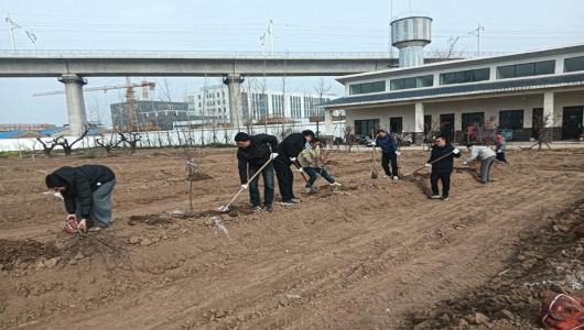 淮北市农科院组织开展义务植树活动