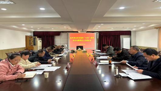 全市深化农村集体“三资”管理突出问题整治工作推进会召开