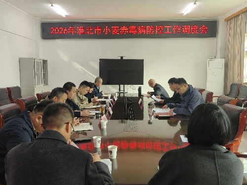 淮北市农业农村局召开2026年小麦赤霉病防控工作调度会