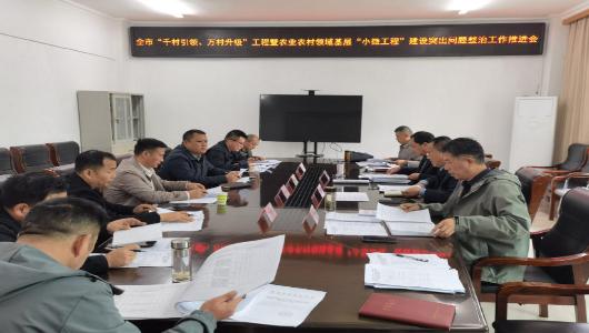 淮北市召开“千村引领、万村升级”工程暨农业农村领域基层“小微工程”建设突出问题整治工作推进会